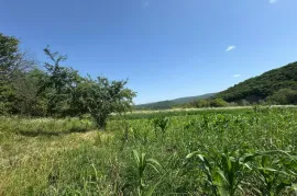 Продается Земля, Сельскохозяйственные, Partskhisi