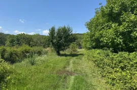 Продается Земля, Сельскохозяйственные, Partskhisi