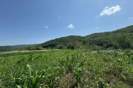 Продается Земля, Сельскохозяйственные, Partskhisi