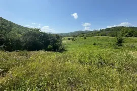 Продается Земля, Сельскохозяйственные, Partskhisi