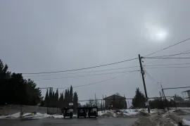 იყიდება მიწის ნაკვეთი, სასოფლო - სამეურნეო, შინდისი