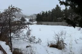 იყიდება მიწის ნაკვეთი, სასოფლო - სამეურნეო, შინდისი