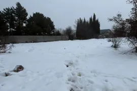 იყიდება მიწის ნაკვეთი, სასოფლო - სამეურნეო, შინდისი