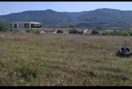 იყიდება მიწის ნაკვეთი, სასოფლო - სამეურნეო, ზაქარო