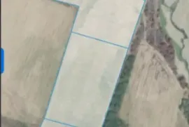 იყიდება მიწის ნაკვეთი, სასოფლო - სამეურნეო, სანავარდო