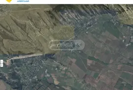 იყიდება მიწის ნაკვეთი, სასოფლო - სამეურნეო, წალასყური