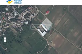 იყიდება მიწის ნაკვეთი, სასოფლო - სამეურნეო, წალასყური