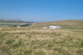 Land For Sale, Tbilisi sea