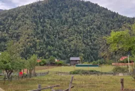 იყიდება მიწის ნაკვეთი, არა სასოფლო - სამეურნეო, სადგერი