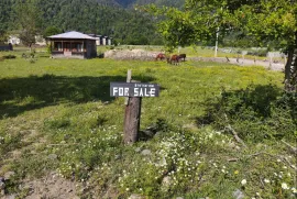 იყიდება მიწის ნაკვეთი, არა სასოფლო - სამეურნეო, სადგერი