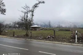 იყიდება მიწის ნაკვეთი, არა სასოფლო - სამეურნეო, სადგერი