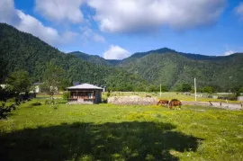 იყიდება მიწის ნაკვეთი, არა სასოფლო - სამეურნეო, სადგერი