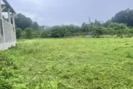 Land For Sale, Agricultural, Khelvachauri