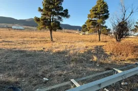 Land For Sale, Agricultural, Tserovani