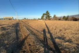 Land For Sale, Agricultural, Tserovani