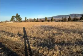 Land For Sale, Agricultural, Tserovani