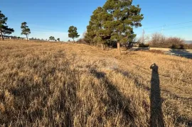 Land For Sale, Agricultural, Tserovani