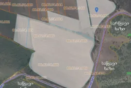 იყიდება მიწის ნაკვეთი, სასოფლო - სამეურნეო, ბოლნისი