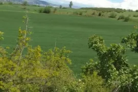 იყიდება მიწის ნაკვეთი, სასოფლო - სამეურნეო, ბოლნისი