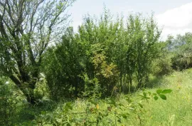 Land For Sale, Non Agricultural, Satskhenisi