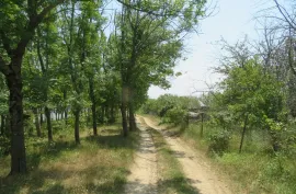 Land For Sale, Non Agricultural, Satskhenisi