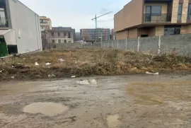 Land For Sale, Agricultural, Didi digomi