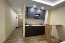 Аренда, 1 Kомнатная, Новостройка, Батуми, Район аэропорта