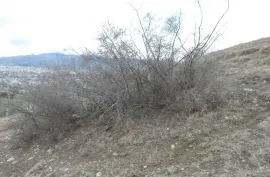 Land For Sale, Agricultural, Mukhiani