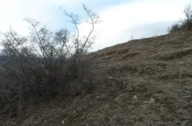 Land For Sale, Agricultural, Mukhiani