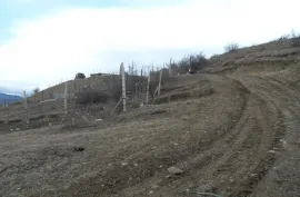 Land For Sale, Agricultural, Mukhiani