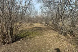 იყიდება მიწის ნაკვეთი, სასოფლო - სამეურნეო, ნანიანი