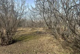 იყიდება მიწის ნაკვეთი, სასოფლო - სამეურნეო, ნანიანი