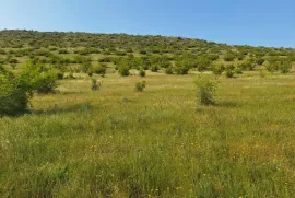 Продается Земля, Не Сельскохозяйственный, Озеро Лиси