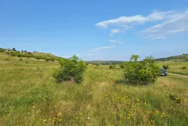 Продается Земля, Не Сельскохозяйственный, Озеро Лиси