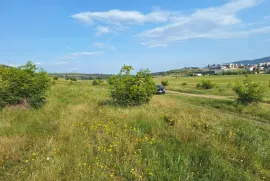 Продается Земля, Не Сельскохозяйственный, Озеро Лиси