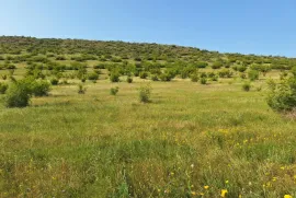 Продается Земля, Не Сельскохозяйственный, Озеро Лиси