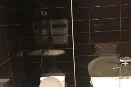 Аренда, 2 Kомнатная, Новостройка, Тбилиси, vake