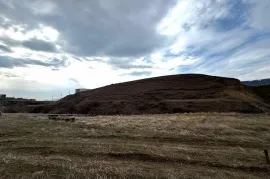 იყიდება მიწის ნაკვეთი, სასოფლო - სამეურნეო, დიდი დიღომი