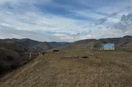 იყიდება მიწის ნაკვეთი, სასოფლო - სამეურნეო, დიდი დიღომი