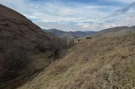 იყიდება მიწის ნაკვეთი, სასოფლო - სამეურნეო, დიდი დიღომი