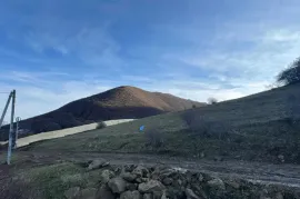 იყიდება მიწის ნაკვეთი, სასოფლო - სამეურნეო, წოდორეთი