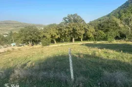 იყიდება მიწის ნაკვეთი, სასოფლო - სამეურნეო, წოდორეთი