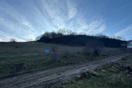 იყიდება მიწის ნაკვეთი, სასოფლო - სამეურნეო, წოდორეთი