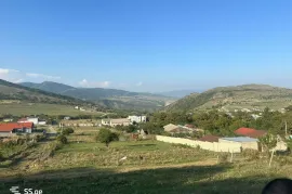 იყიდება მიწის ნაკვეთი, სასოფლო - სამეურნეო, წოდორეთი