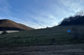 იყიდება მიწის ნაკვეთი, სასოფლო - სამეურნეო, წოდორეთი