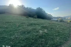 იყიდება მიწის ნაკვეთი, სასოფლო - სამეურნეო, წოდორეთი