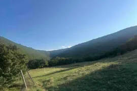 იყიდება მიწის ნაკვეთი, სასოფლო - სამეურნეო, წოდორეთი