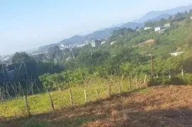 იყიდება მიწის ნაკვეთი, არა სასოფლო - სამეურნეო, ახალსოფელი