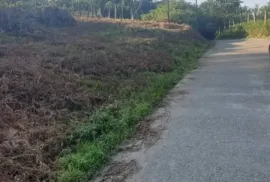 იყიდება მიწის ნაკვეთი, არა სასოფლო - სამეურნეო, ახალსოფელი