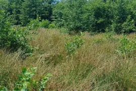 Продается Земля, Не Сельскохозяйственный, Уреки